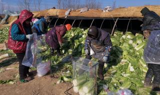 河北将出现零下30度低温