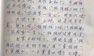 母爱触动了我的心灵作文