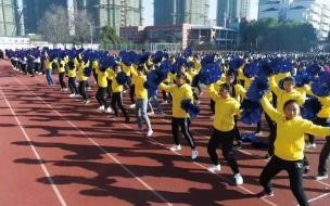 六安中考录取查询密码是什么 安徽六安中考成绩查询
