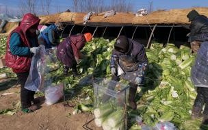 河北石家庄有过零下20度吗 河北将出现零下30度低温